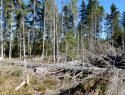 Trijezerni_1018.jpg
