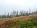 Laka_0915.jpg_2.jpg