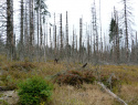 Breznik_0915_3.jpg