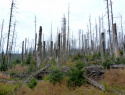 Laka_0915_3.jpg