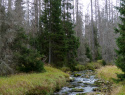 Modravsky_0915_3.jpg