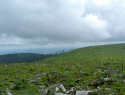 Plechy_0616.jpg