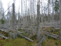 Modravsky_0915.jpg
